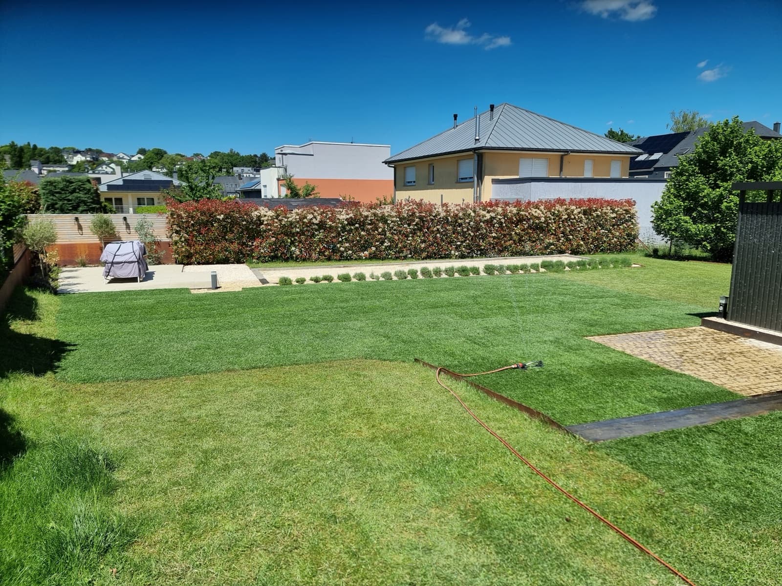 Pelouse fraîchement engazonnée avec arrosage automatique, réalisation Green Space